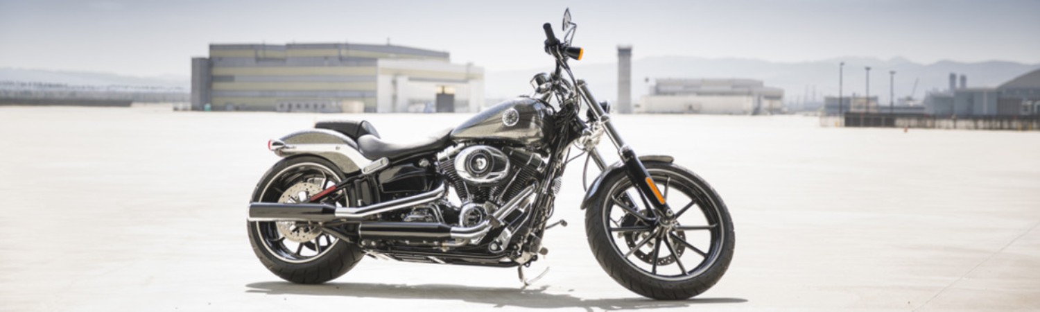 2021 Harley-Davidson® for sale in Crystal Harley-Davidson®, Homosassa, Florida